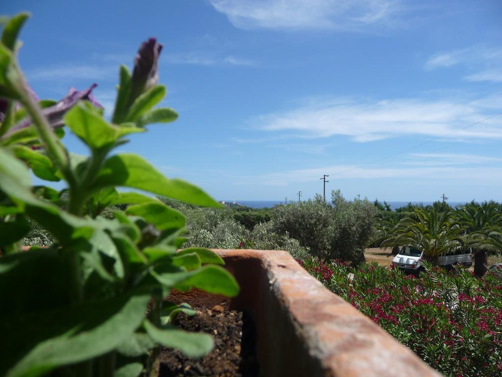 Masseria Serine Santa Maria di Leuca Exteriör bild